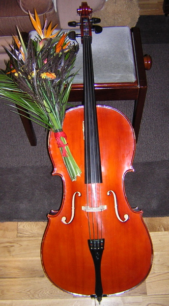 cello with flowers from Steven Isserlis.JPG